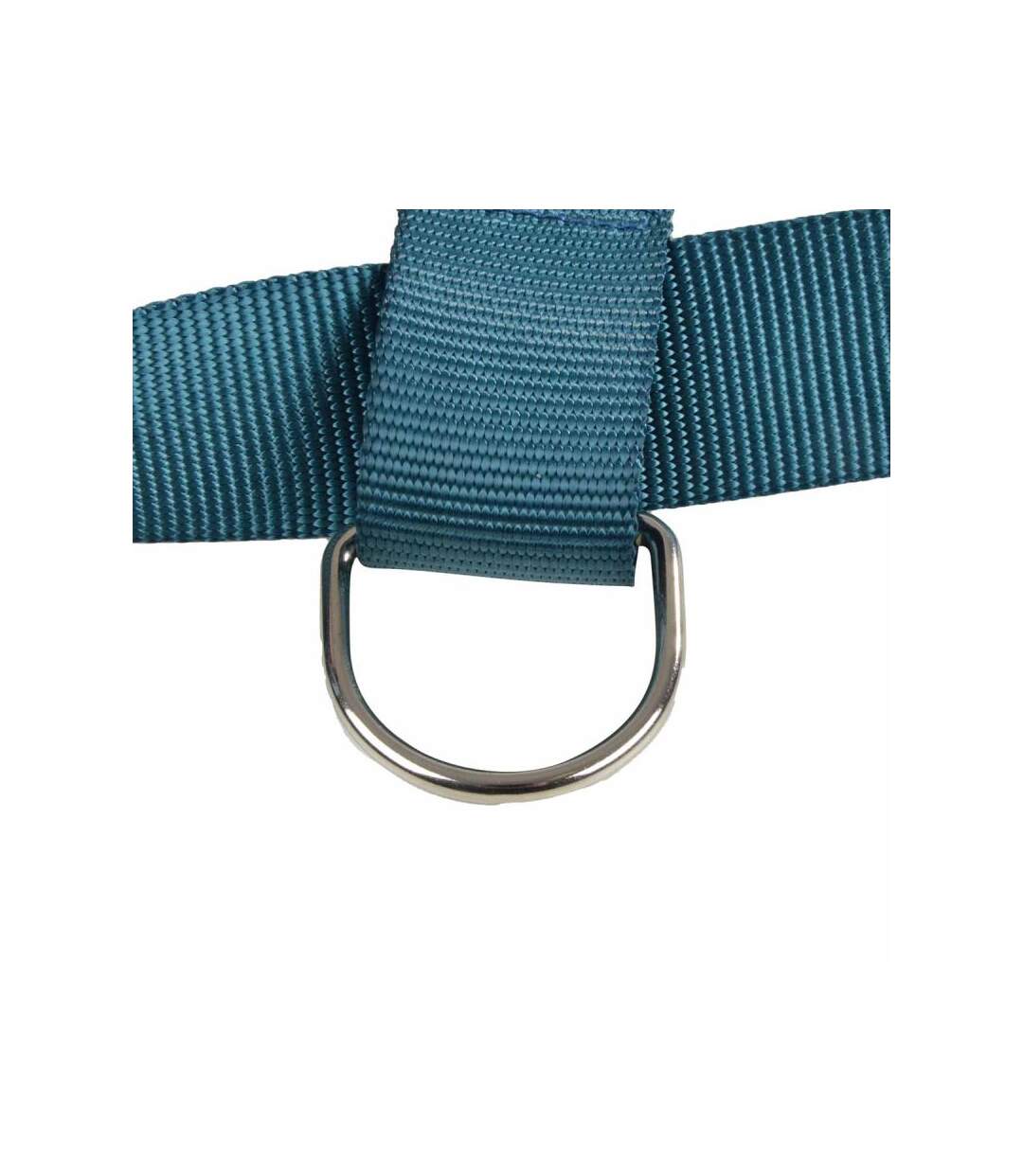 Paris Prix - Harnais Pour Chien essentiel 35cm émeraude