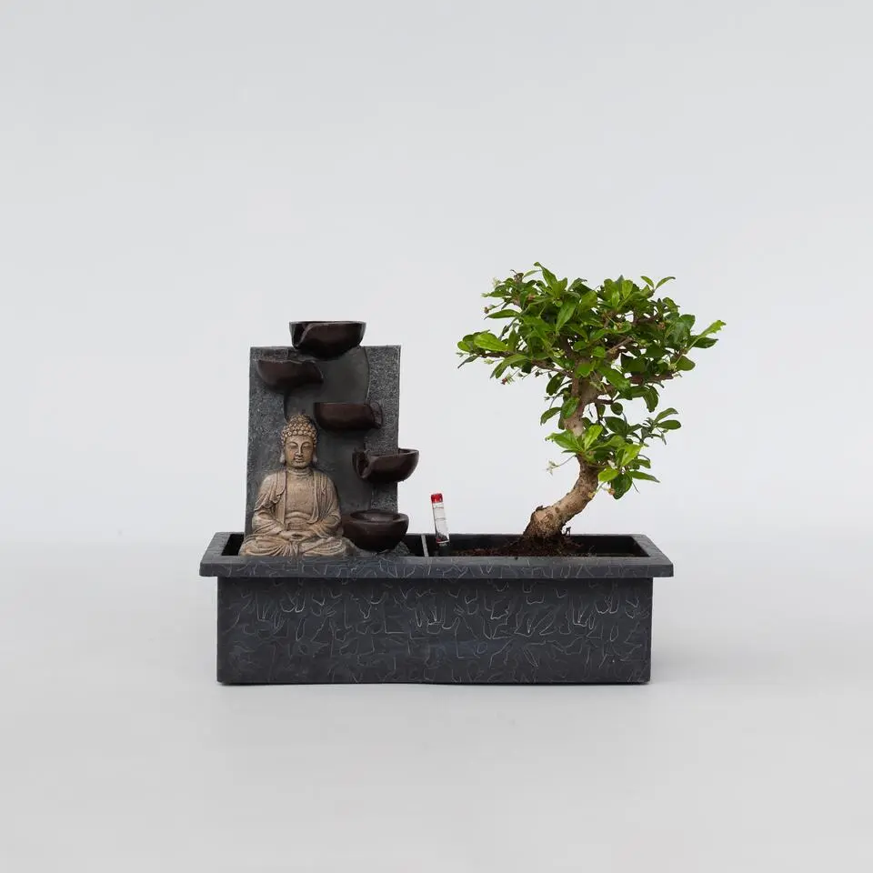 Bonsai met Buddha - Bonsai - Hoogte 25-35cm - ⌀29cm