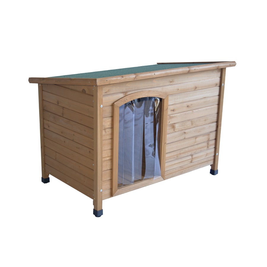 Canil TK-Pet Tindaya com porta