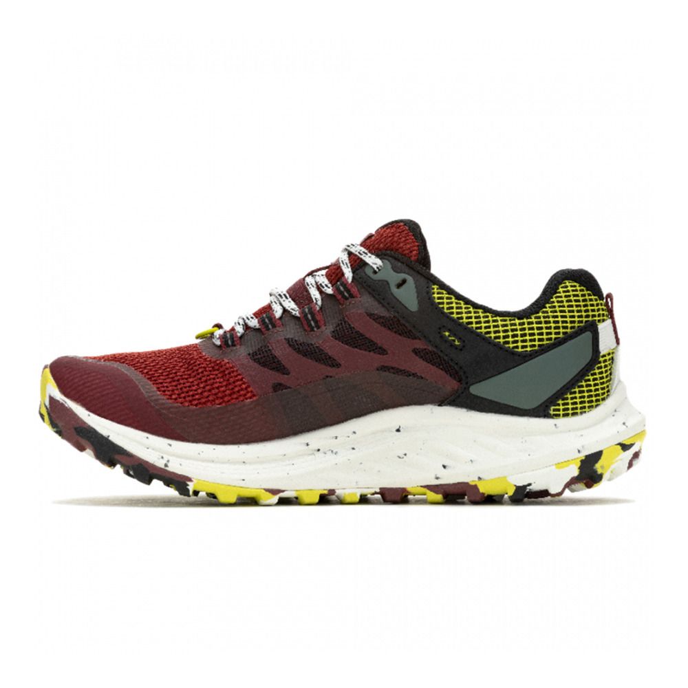 Merrell ANTORA 3 GTX - Chaussures trail Femme cabernet/hiviz
