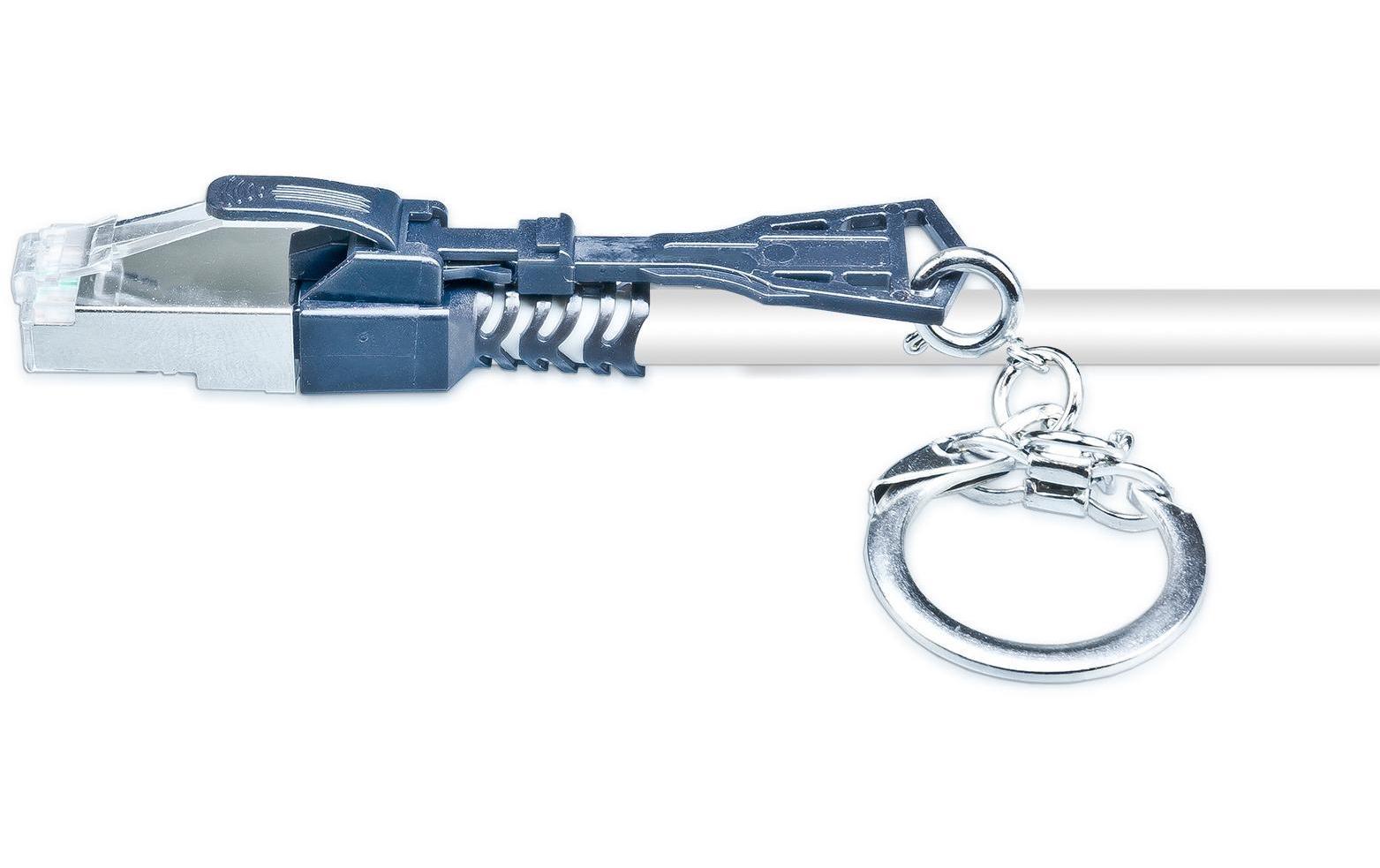 RJ-45 SecureLock Key 10 StückRJ45 Securelock Schlüssel für PKW-SL-SFTP-KAT6A Patchkabel, 10-er Pack