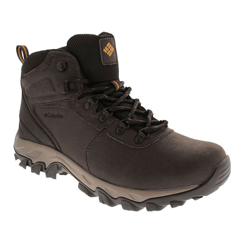 Columbia NEWTON RIDGE PLUS II WATERPROOF - Chaussures randonné Homme brown