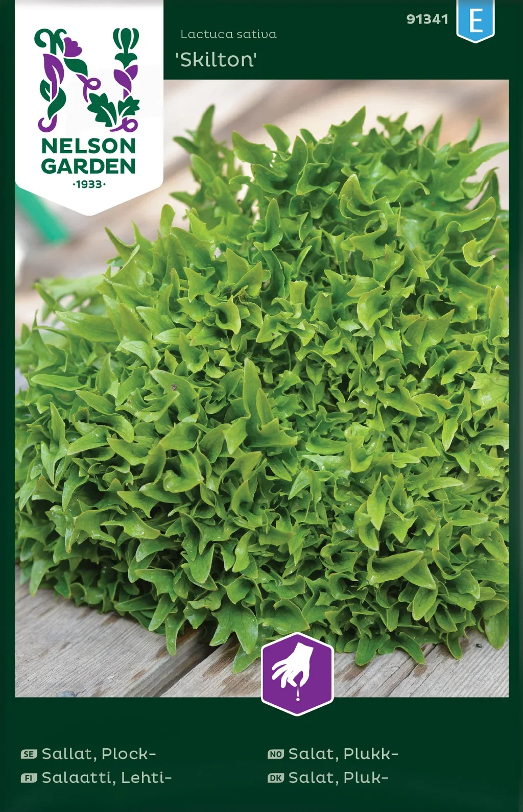 Lactuca sativa 'Skilton' Plukksalat 'Skilton'