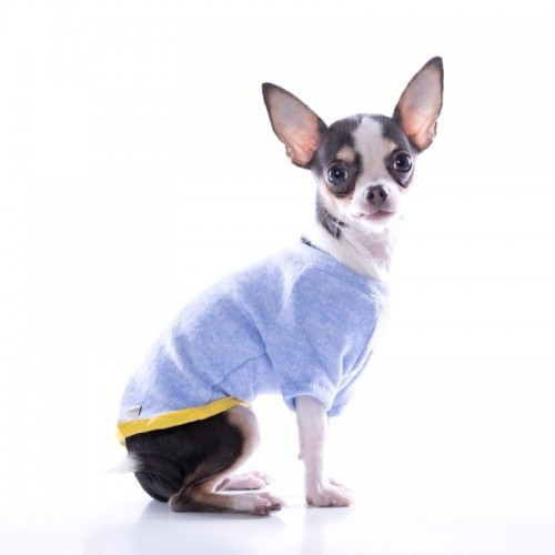 Camiseta Nun Home para cães, azul claro