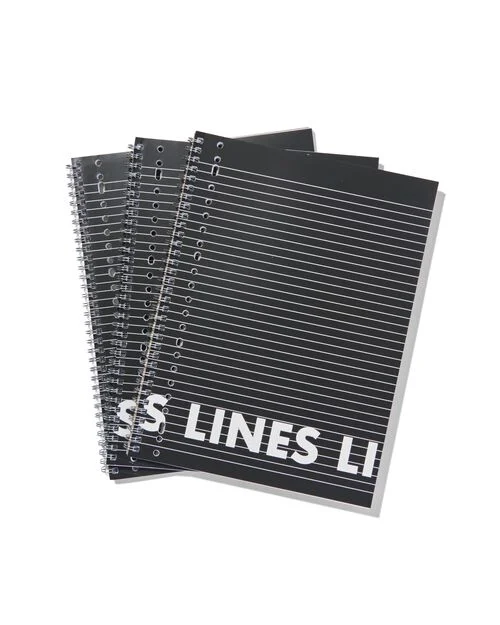 3 cahiers à spirale A4 lignés