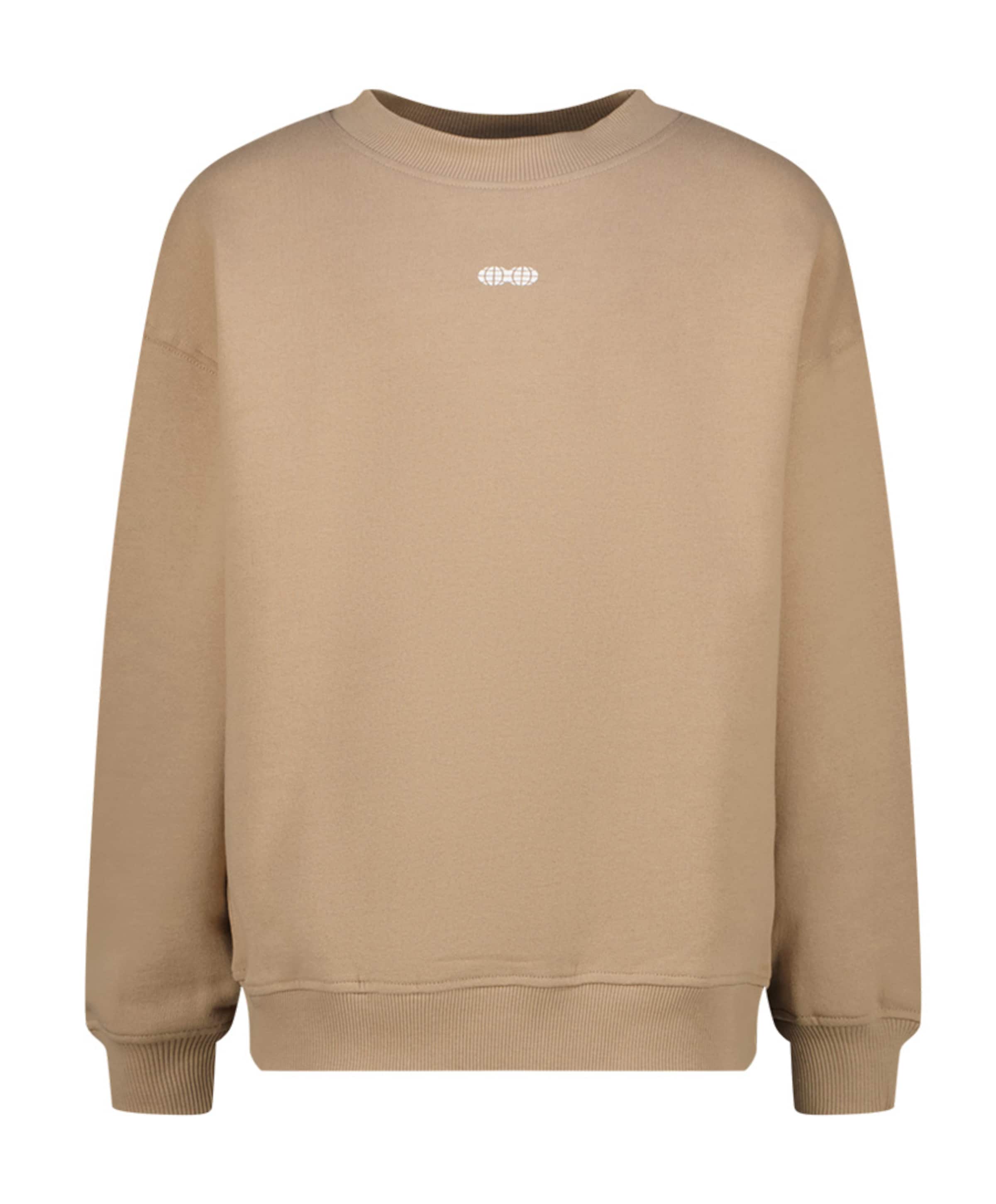 Raizzed Jongens sweater beige