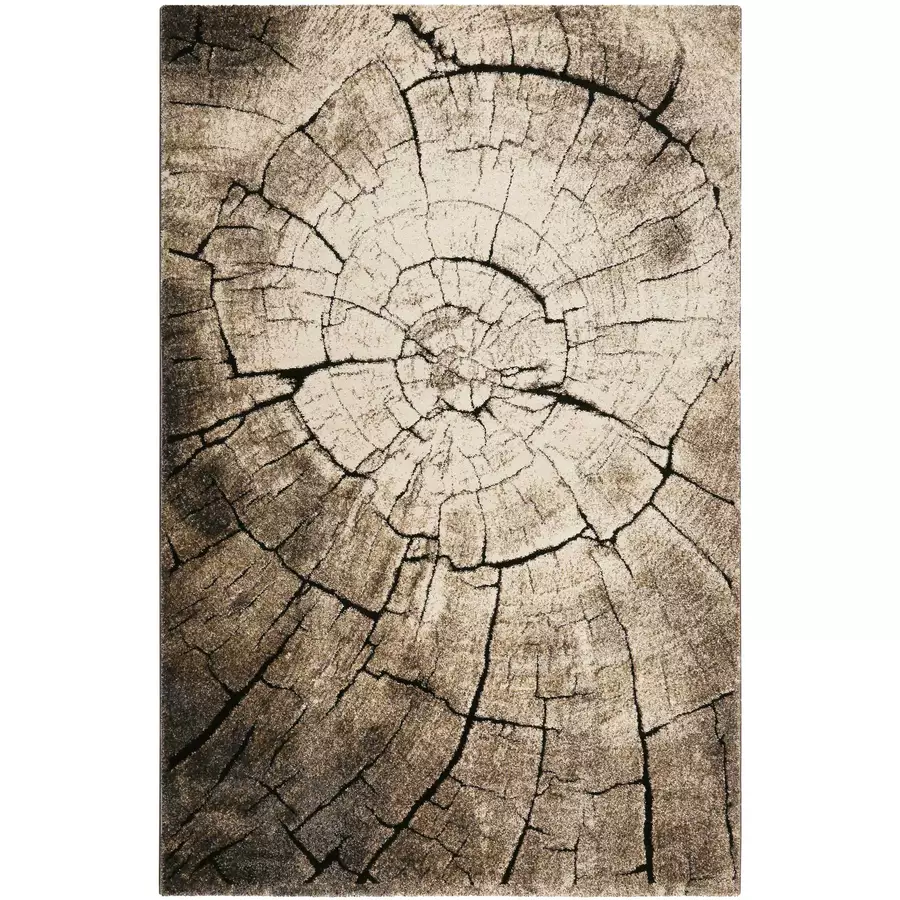 Wecon home Kurzflorteppich Wild Oak braun