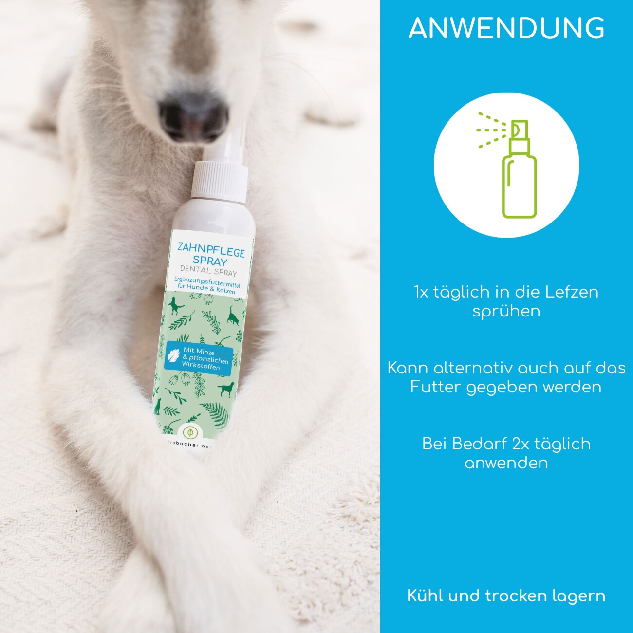 Wolfsbacher Natur Dentalspray