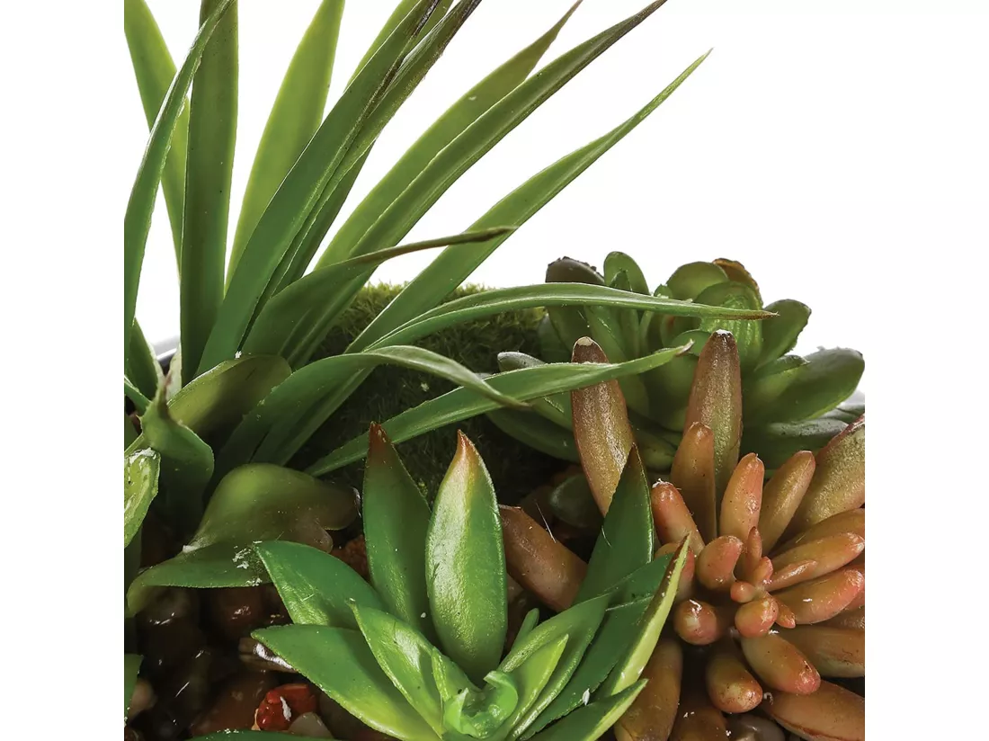 Assortiment de plantes avec vase en céramique l.20 x p.20 x h 6