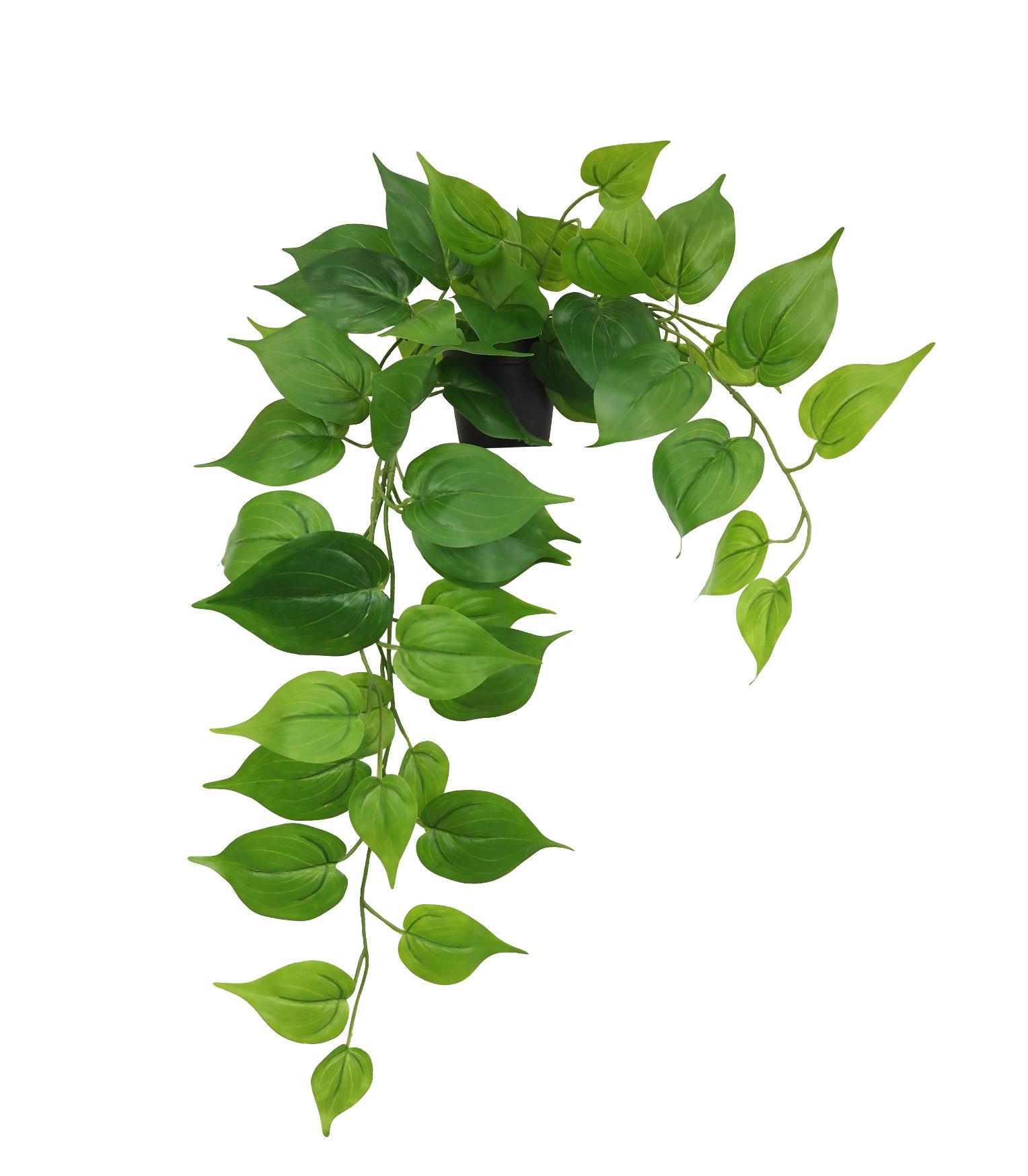 POTHOS POT PLASTIQUE NOIR H.70CM