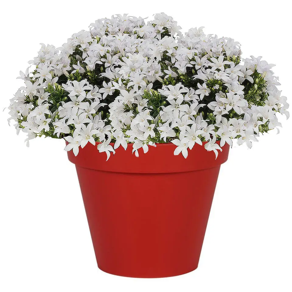 EDA Toscane Bloempot - kunststof - rood - D40 x H32 cm