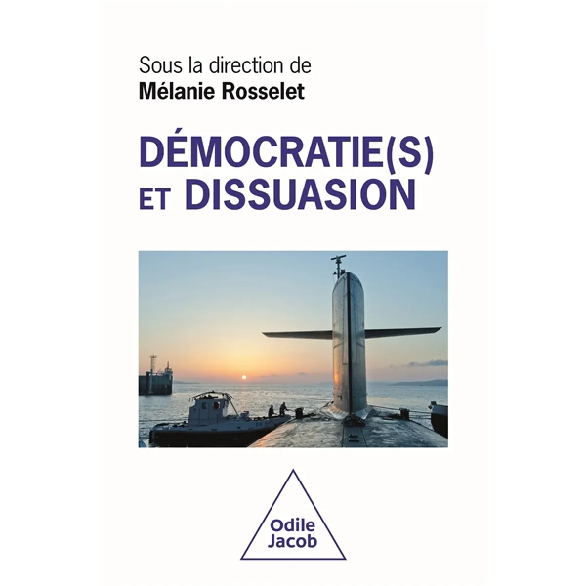 Démocratie(s) et dissuasion · Occasion