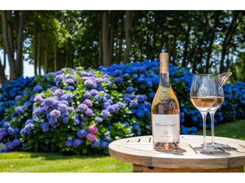 Chateau d`Esclans Whispering Angel 0.75 l Erlesener Rosé-Wein aus der französischen Provence