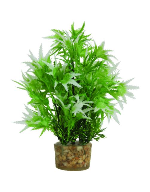 Zolux Kunstplanten Op Grind - Aquarium - Kunstplant - Groen per stuk Medium