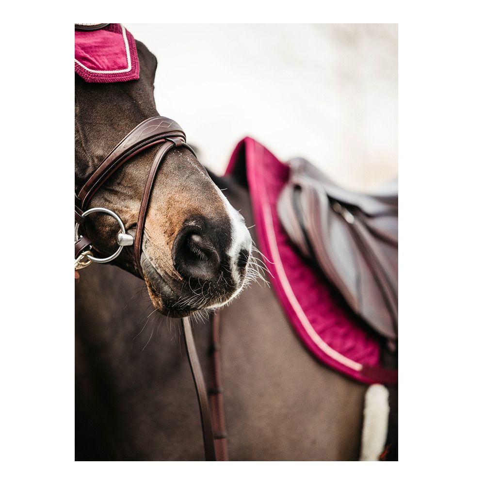 Kentucky VELVET d'obstacle - Tapis fuchsia