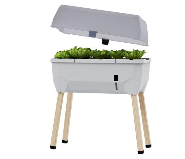 Gusta Garden Mini-Hochbeet Sammy Salad, inkl.