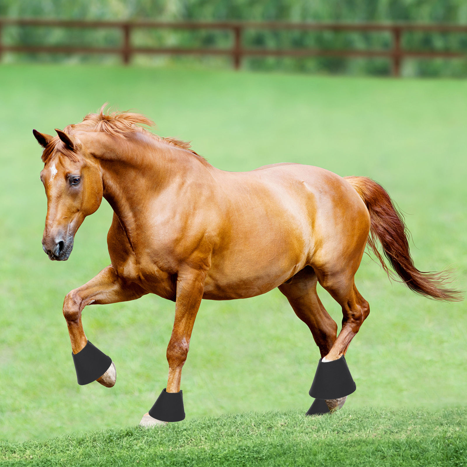 Nobleza - Sinos para Cavalos, Sinos de Neoprene para Salto, Proteção para Cascos de Cavalos (Preto)
