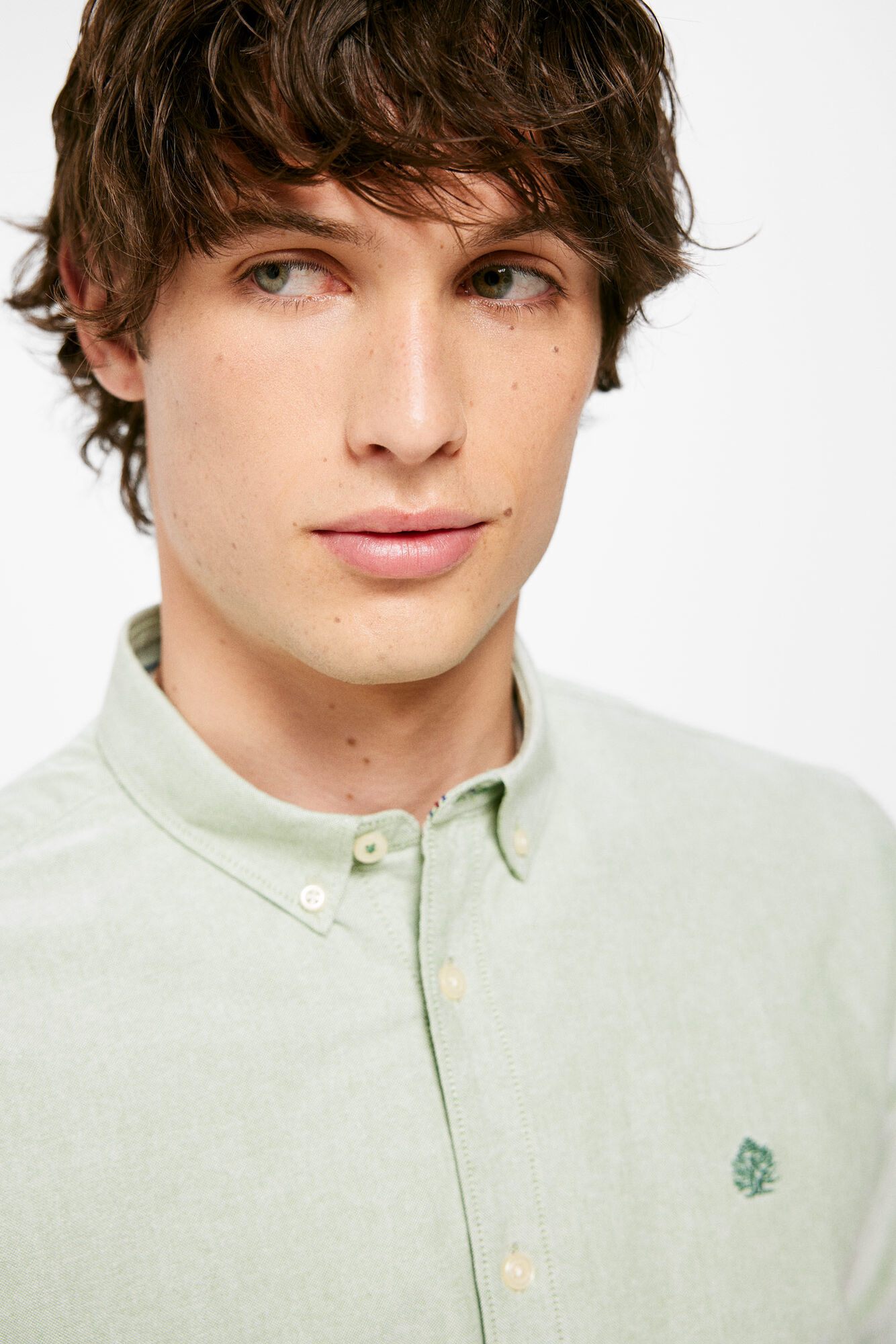 Cor da camisa Oxford