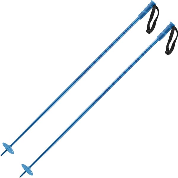 Bâton de ski SALOMON HACKER BLUE