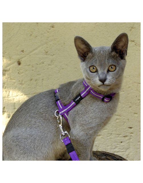 Rogz Alleycat Tuigje Met Looplijn Rood - Kattenharnas