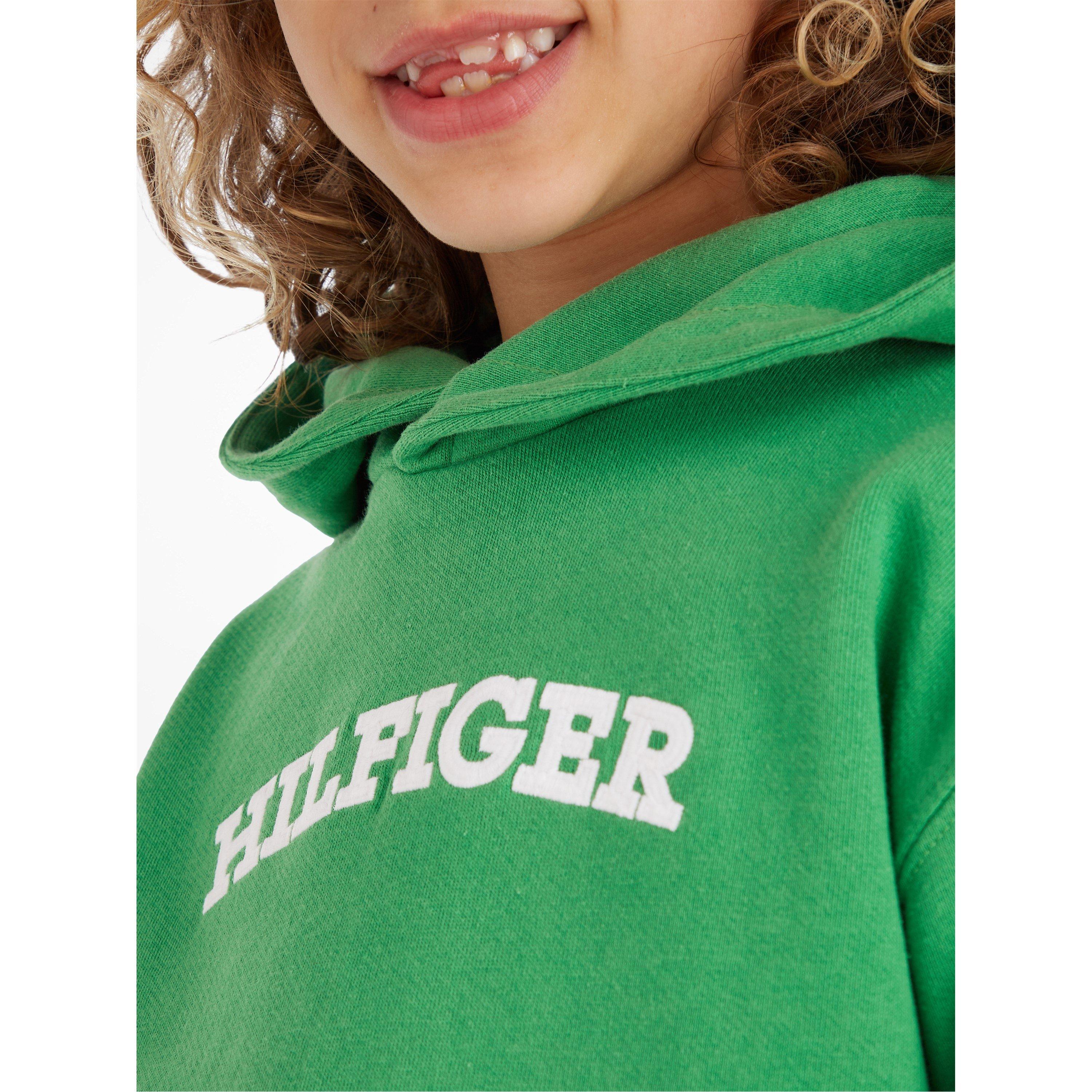 Tommy Hilfiger Arched Hoodie