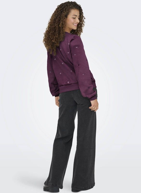 Only - Onlatika O-neck - Trui - Mauve Wine - Glitter Embroidery