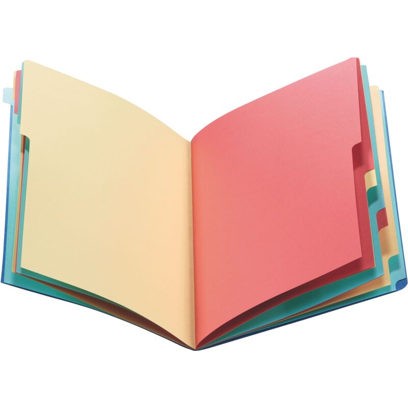 Trieur carte Emey Eco 12 divisions couleur