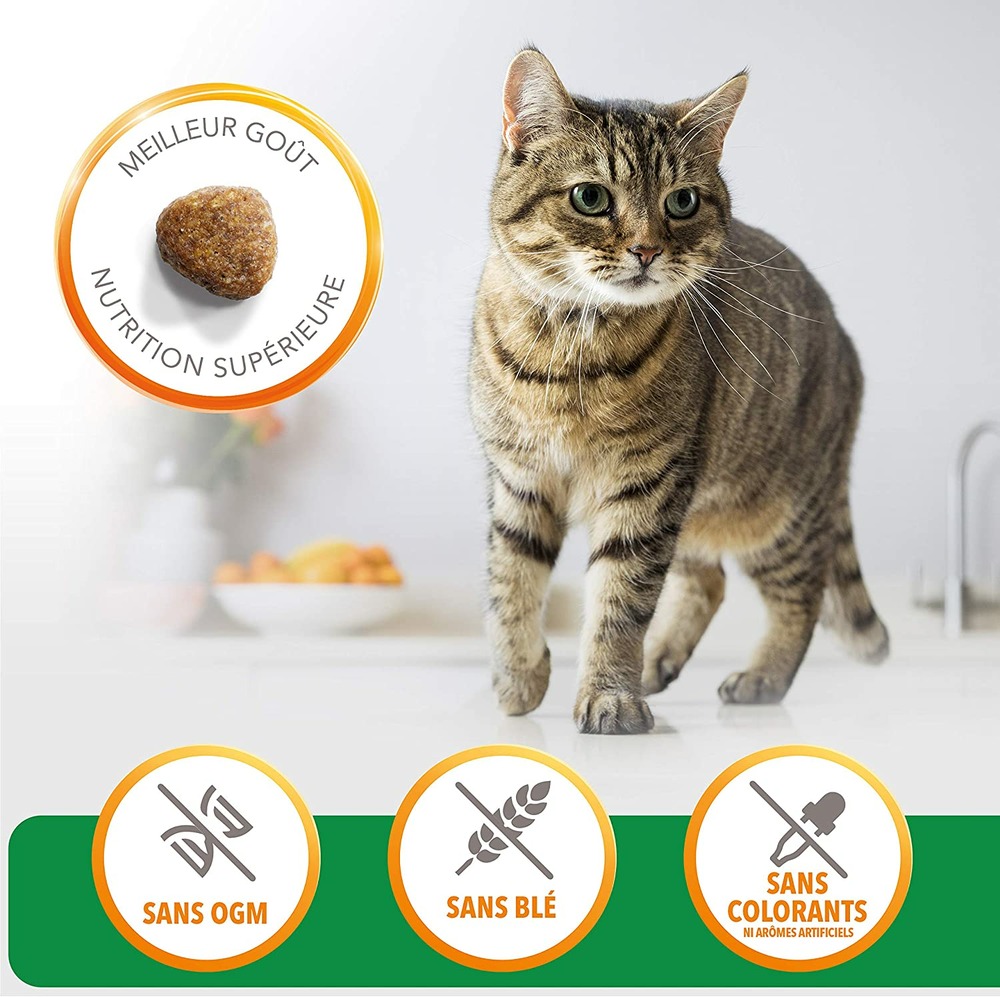 Croquette vitality chat adult agneau 10kg