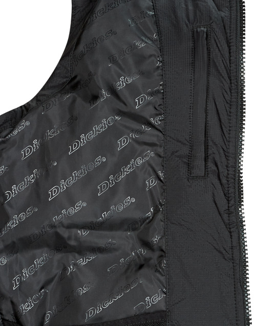 Dickies - WALDENBURG - Noir