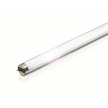 Philips TL-buis 36W cool wit