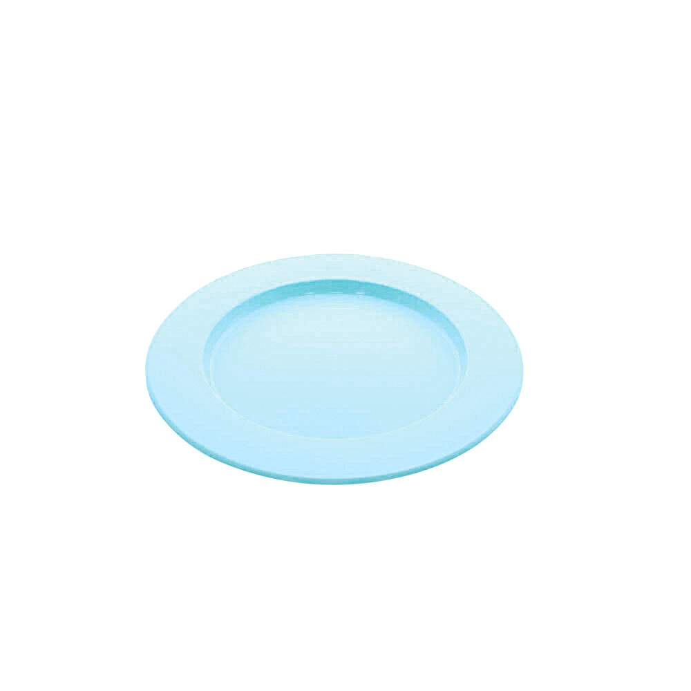 Assiette plastique coloré Ø 24 cm
