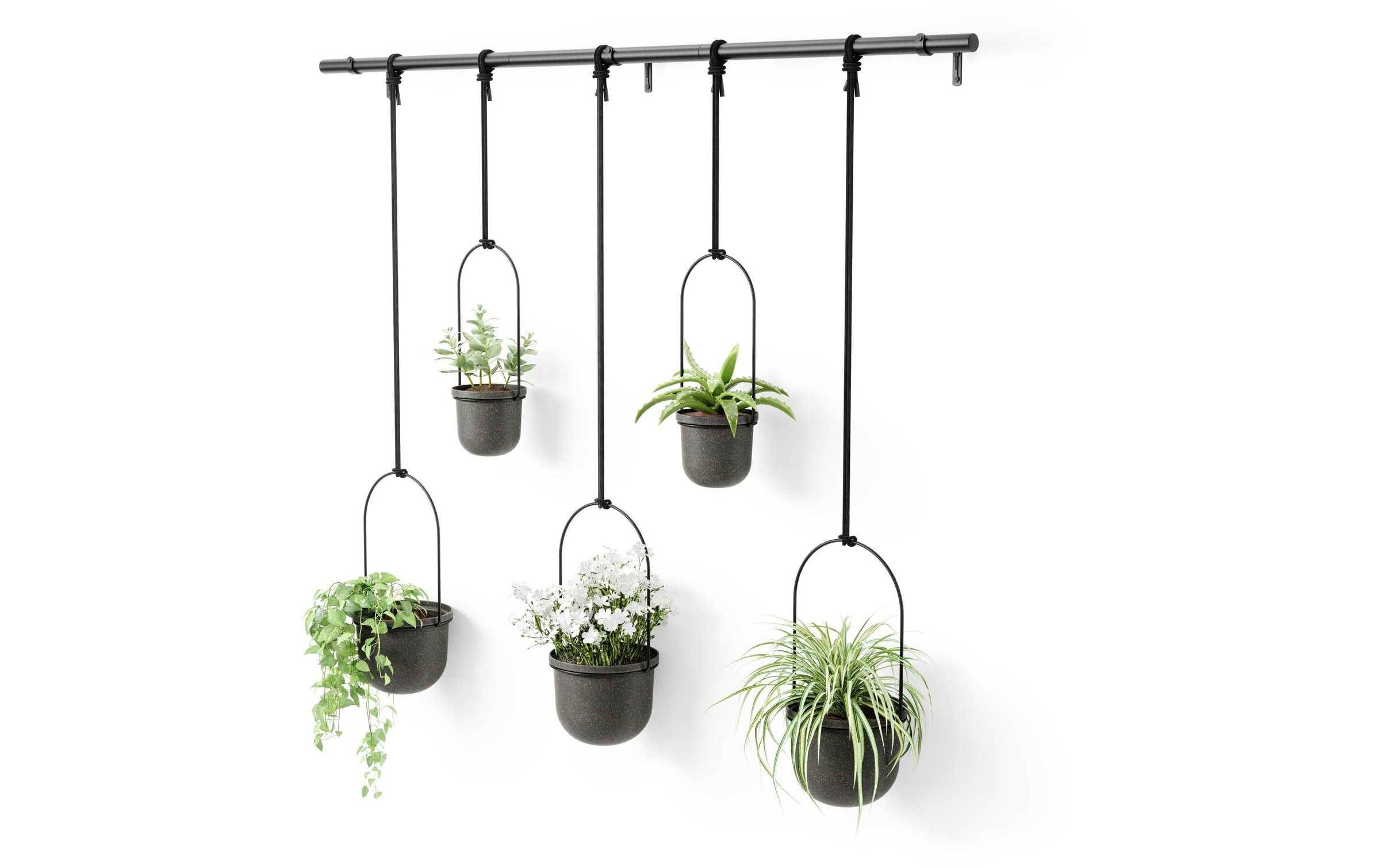 Umbra Blumentopf »Triflora, 5er Set, Schwarz«
