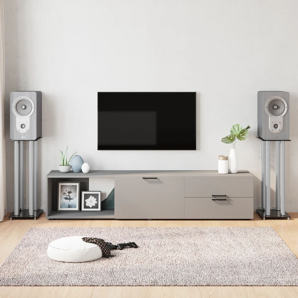vidaXL Speakerstandaards, 2 stuks, zwart en zilver, gehard glas