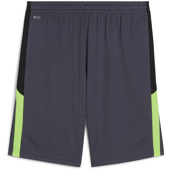 Puma LIGA Training Short