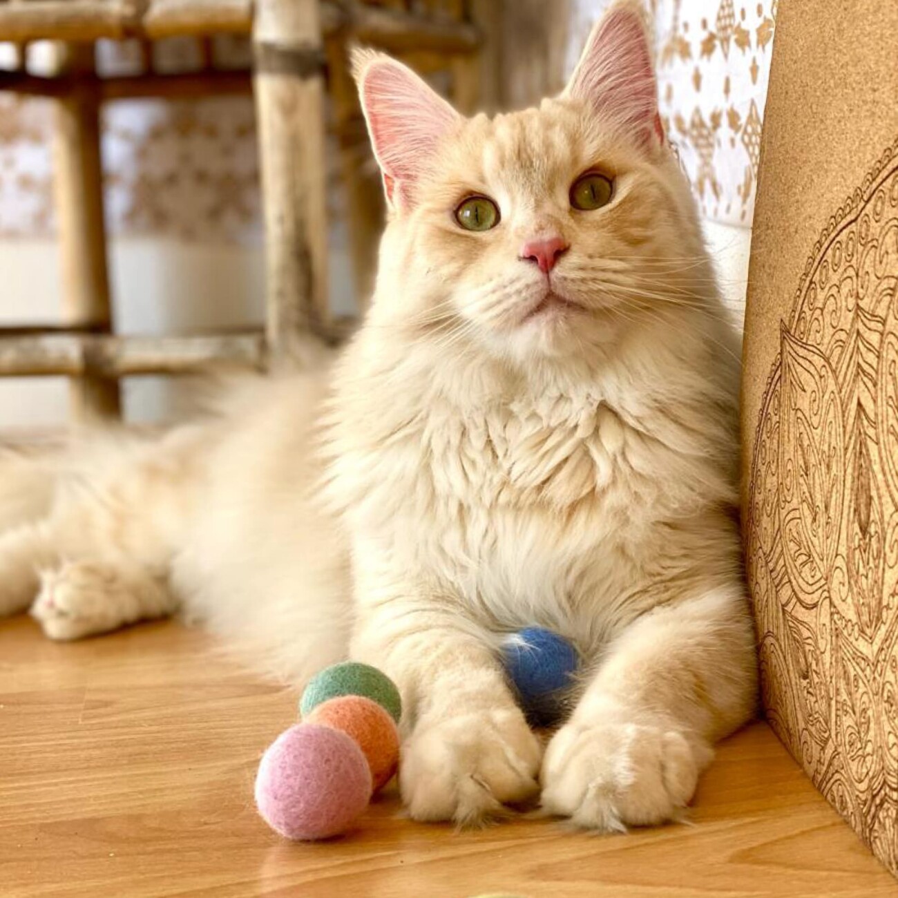 LucyBalu RAINBOW BALLS Katzen Filzbälle