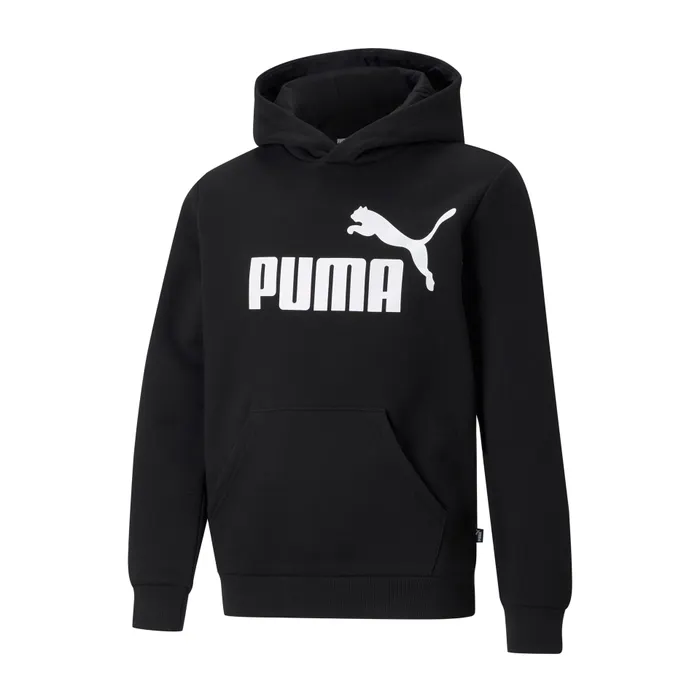 Puma Essential Hoodie Junior