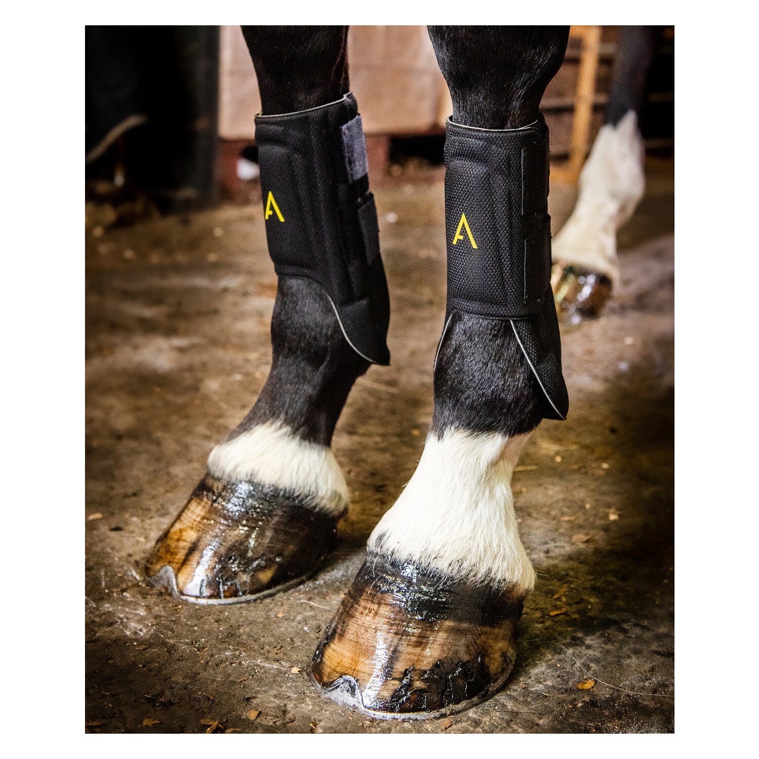 HORSEWARE Gamaschen Adagio Boots  - black