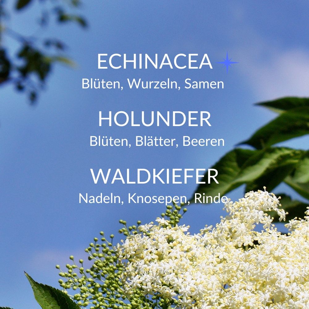 minnegarden Bio Tinktur Take Care - Herbal Boost Akut & Intensiv