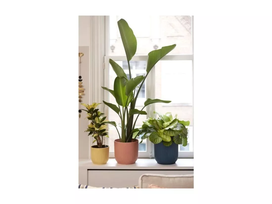 Pot de fleurs Rond VIBES - Plastique - Ø 25 - Rose poudré