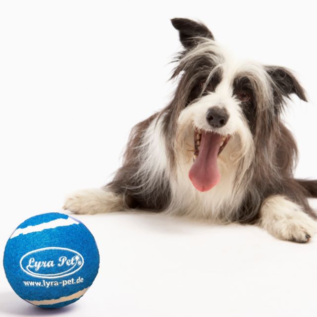 Lyra Pet® Tennis Ball