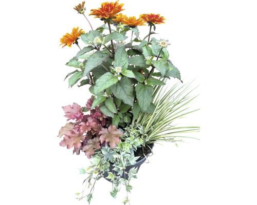 Herfstmagie Gemengde Planten Ø 24 cm Pot