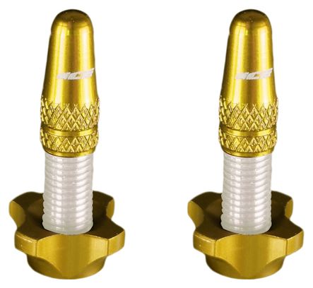 Kit de Bouchons en Aluminium (x2) et Ecrous (x2) Ice Airflow Or