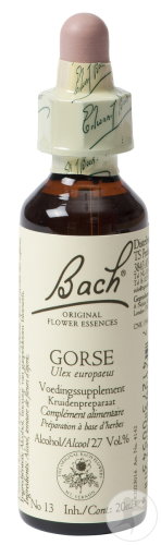 Fleurs De Bach Remedie 13 Gorse/Ajonc 20ml