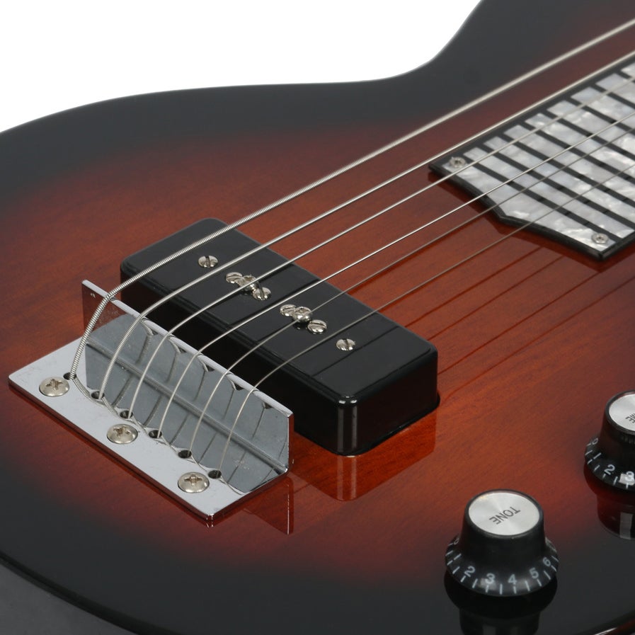 Recording King RG-32SN lap steel gitaar