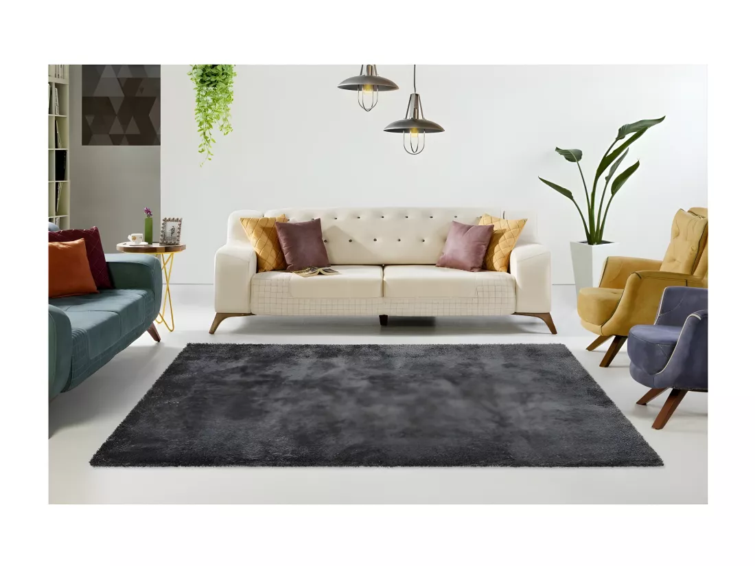 Tapis 150x80cm, design C005D coloris anthracite - Confort et élégance pour votre intérieur