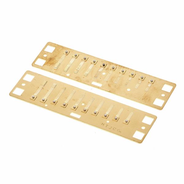 Lee Oskar Harmonic Minor Reedplates G