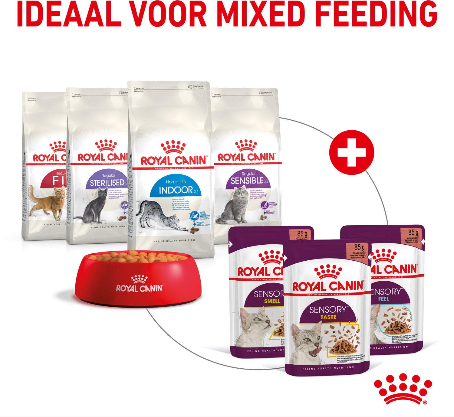 Royal Canin kattenvoer in saus Sensory Feel 85 g 12 stuks