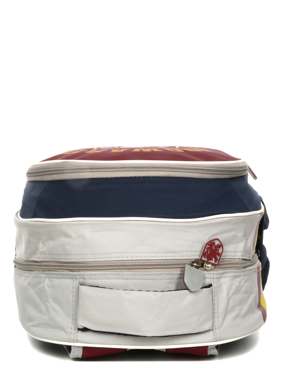 Sac À dos Harry Potter Championship