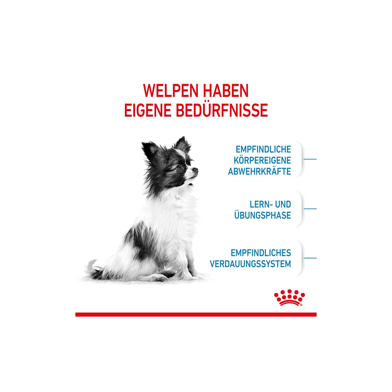 ROYAL CANIN X-Small Puppy 1,5 kg