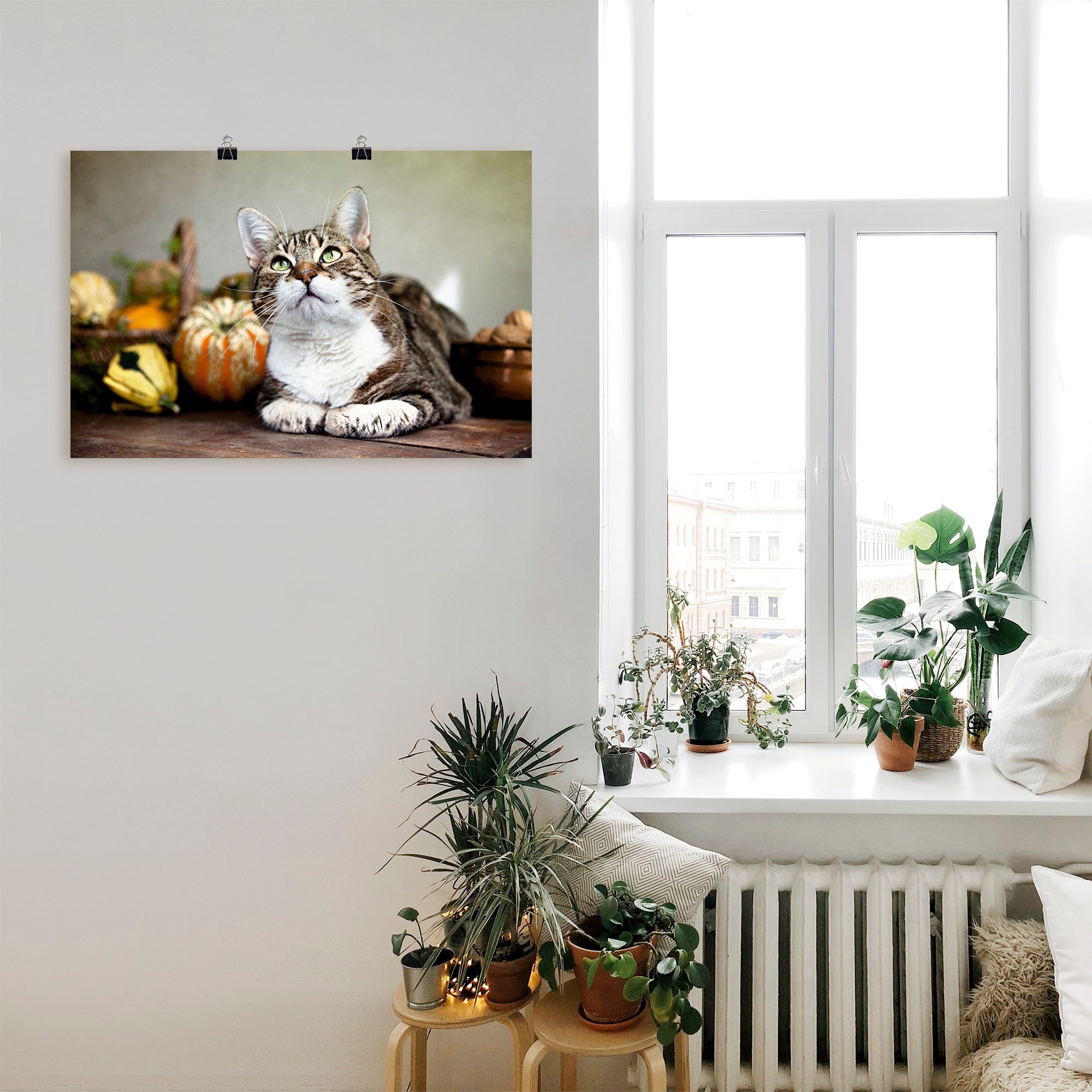 Artland Poster »Katze und Herbstdeko« Haustiere 1 Stk. tlg. als Alubild, Leinwandbild, Wandaufkleber oder Poster in versch. Grössen